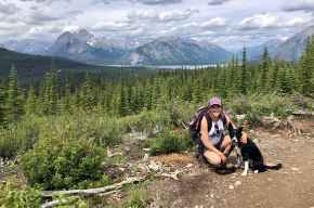 Picture for category Dog Supplies